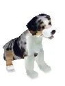 File:Bobo.jpg
