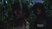 Javier and Francisco flee through the cornfield.