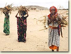 women carrying wood