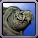 Turtle Avatar