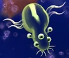 Grubby, a multi-eyed cell
