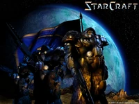 Terrans ready for war