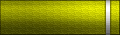 Sleeve insignia.