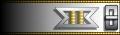 Commander insignia.