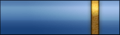 sleeve rank insignia.