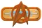 Starfleet insignia.