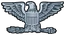 Uniform pin.