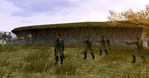 Mercenaries against militiamen