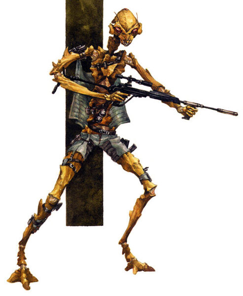 493px-Kobok.jpg