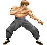 Super Street Fighter II