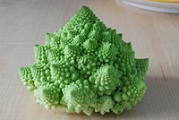 Airillions: Fractal - Out of the Many, One