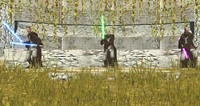 Three Jedi using Yovshin, Shien, and Ataru styles of lightsaber combat, respectively.