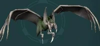 Gackle Bat Familiar