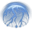 Cloak Wave