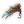 Pristine Granitour Carapace
