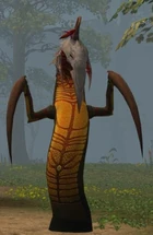 A Maw