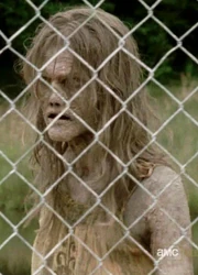 Caminante de la bombacha.jpg