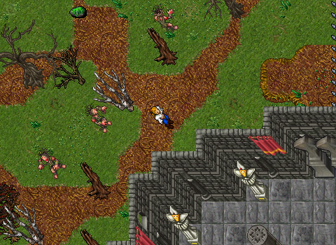 http://images4.wikia.nocookie.net/tibia/en/images//5/53/Cemetary_Quarter.jpg