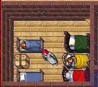 Image:New_Beds.jpg