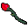 Image:Red Rose.gif
