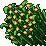 Jungle_Grass.gif