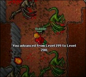 Tibia