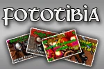 FotoTibia logo