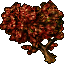 Image:Red Maple.gif
