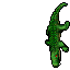 Image:The Snapper.gif