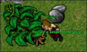 Image:Jesteraddon bush.PNG