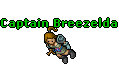 Image:Captain Breezelda.gif