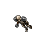 Image:Skeleton Warrior.gif