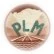 Image:PLM.jpg