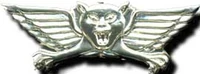 Sayaret Golani badge.