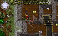 The Wisp in Ultima VII