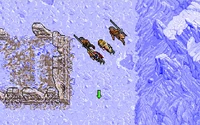 In the Ice Lands