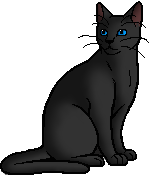 Rainwhisker