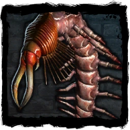 Giant centipede