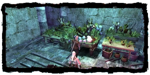 the herbs