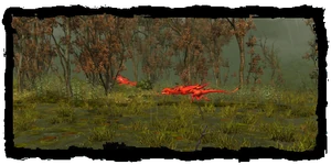 Wyvern island