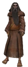 the Hermit