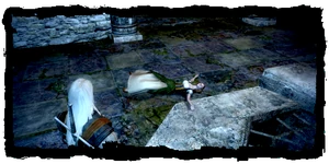 Geralt discovers Ilsa's body