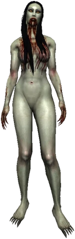 Bruxa