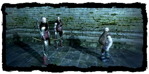 the missing Scoia'tael party