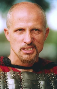 Falwick (Maciej Kozlowski) in The Hexer TV series