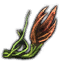 Coccacidium