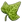 Honeysuckle