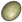 wyvern eggs