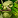 Grafika:IconSmall ForestTroll Male.gif