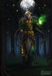 Nocny elf druid